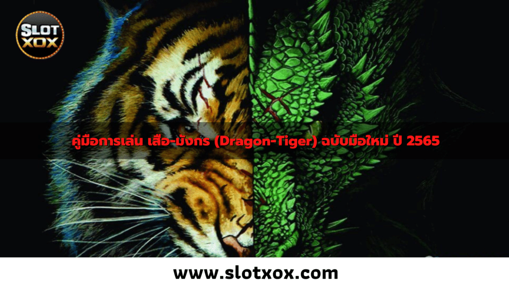 คู่มือการเล่น เสือ-มังกร (Dragon-Tiger) ฉบับมือใหม่ ปี 2565
