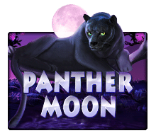 สล็อต Panther Moon