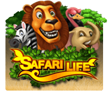 ทดลองเล่นสล็อต Safari life |  SlotXo สล็อต XO