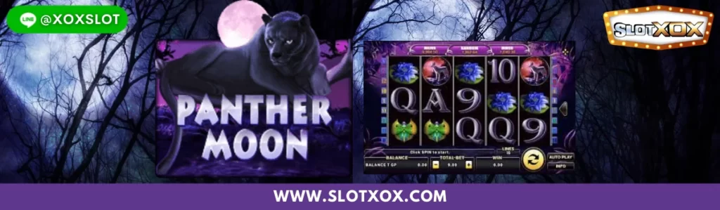 ทดลองเล่นสล็อต PANTHER MOON | SlotXO สล็อต XO