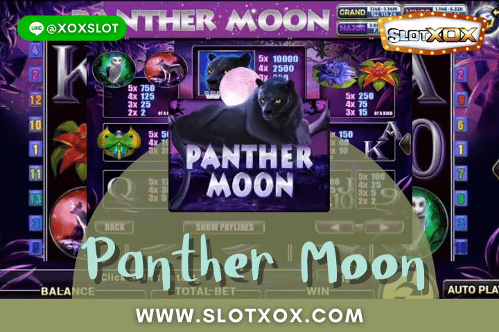 รีวิวเกมสล็อต Panther Moon เกมเสือดำอัพเดทล่าสุด ก่อนใคร