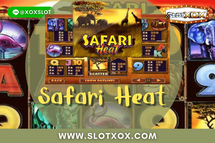 รีวิวเกมสล็อต Safari Heat เกมสวนสัตว์ซาฟารีนเขตร้อน